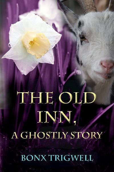 The Old Inn, A Ghostly Story: Second edition