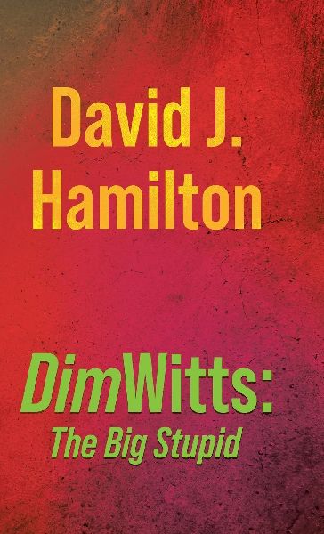 DimWitts: The Big Stupid