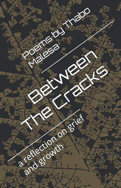 Between The Cracks: a reflection on grief and growth