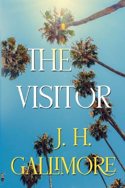 The Visitor