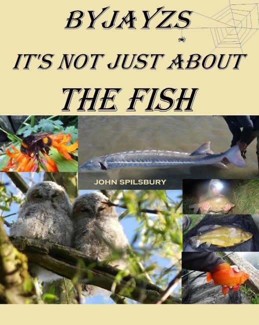 It's Not Just About the Fish