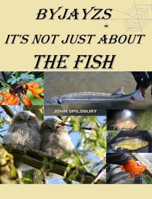 Its Not Just About the Fish