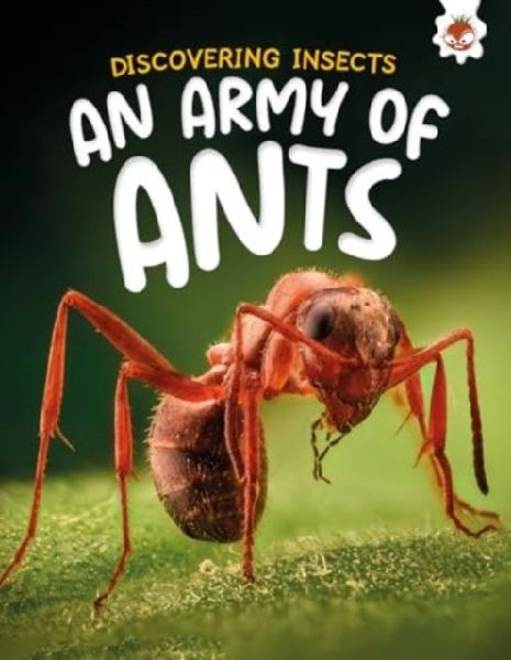 Discovering Insects: An Army of Ants