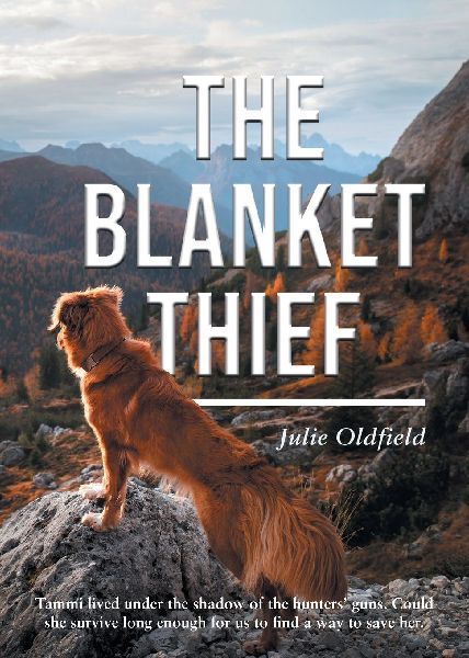 The Blanket Thief