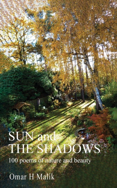 Sun and The Shadows