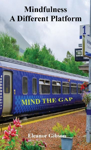Mindfulness - A Different Platform: Mind the Gap