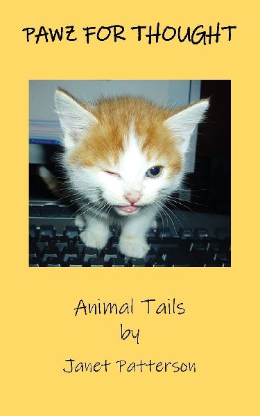 Pawz for Thought: Animal Tails