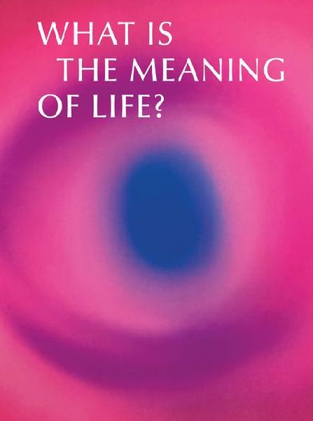 What is the Meaning of Life?: Making and Breaking the Rules We Live By