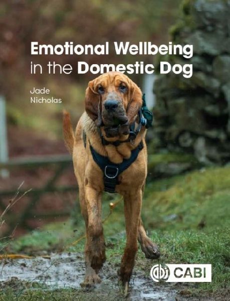 Emotional Wellbeing in the Domestic Dog