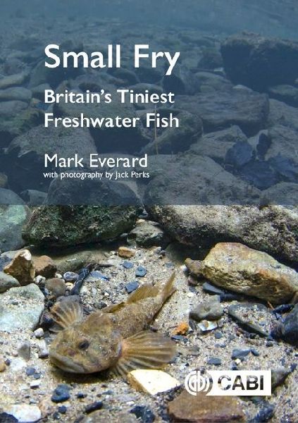 Small Fry: Britains Tiniest Freshwater Fish