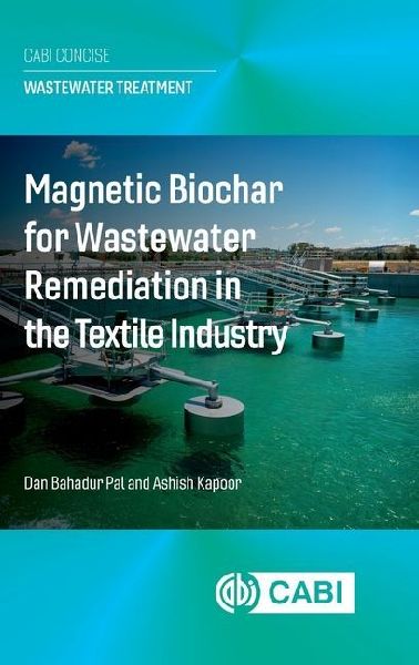 Magnetic Biochar for Wastewater Remediation in the Textile Industry