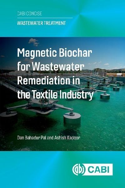 Magnetic Biochar for Wastewater Remediation in the Textile Industry