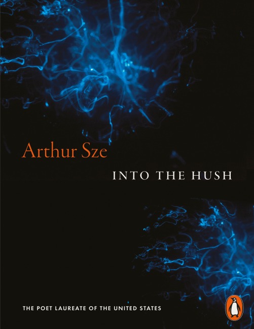 Into the Hush