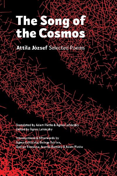 The Song of the Cosmos: Selected Poems
