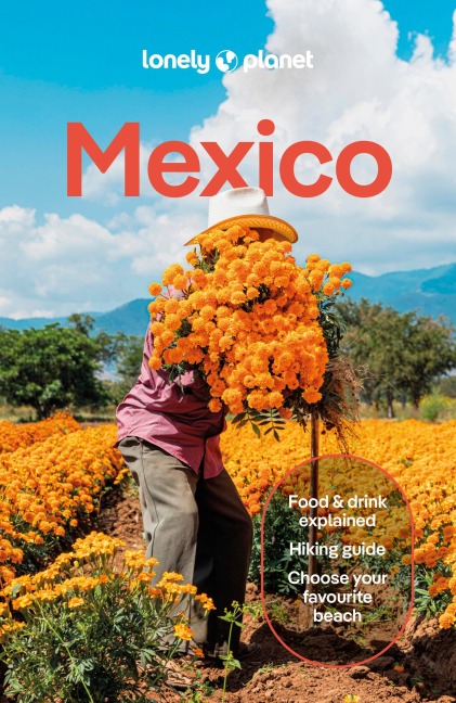 Lonely Planet Mexico: Plan the Trip of a Lifetime | Detailed Itineraries & Maps | Insider Tips | Covers ETulum, Oaxaca, Copper Canyon and more