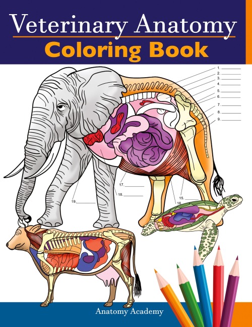 Veterinary Anatomy Coloring Book: Animals Physiology Self-Quiz Color Workbook for Studying and Relaxation | Perfect gift For Vet Students and even Adults