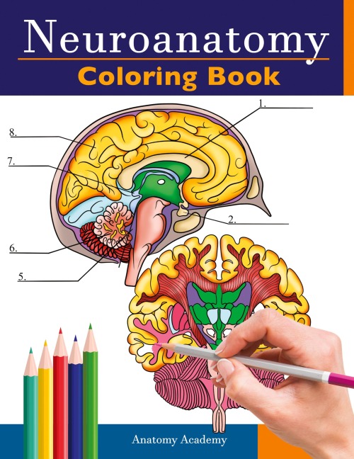 Neuroanatomy Coloring Book: Incredibly Detailed Self-Test Human Brain Coloring Book for Neuroscience | Perfect Gift for Medical School Students, Nurses, Doctors and Adults