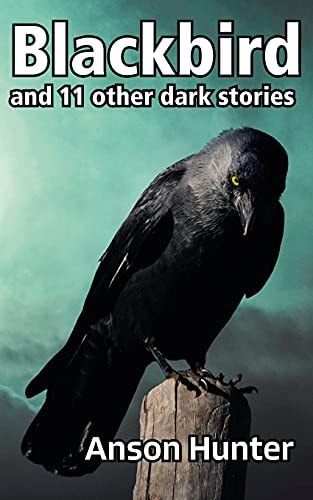 Blackbird And 11 Other Dark Stories