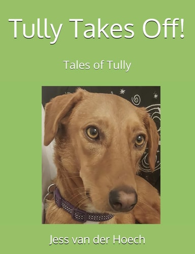 Tully Takes Off!