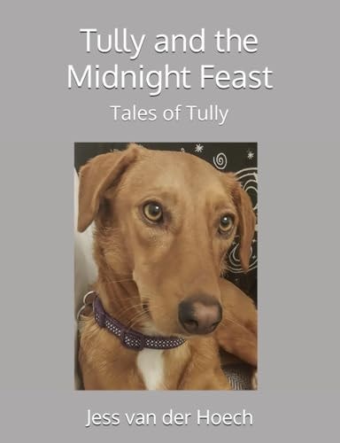 Tully and the Midnight Feast