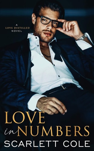 Love in Numbers An Enemies to Lovers Romance