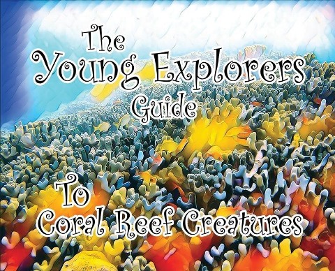 The Young Explorers Guide To Coral Reef Creatures