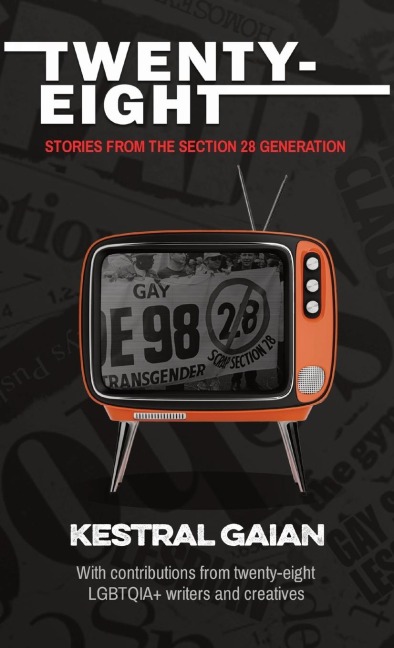 Twenty-Eight: Stories from the Section 28 Generation