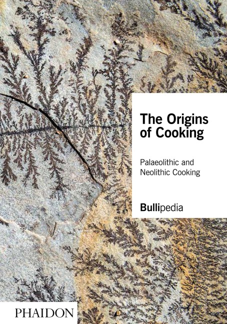 The Origins of Cooking: Palaeolithic and Neolithic Cooking
