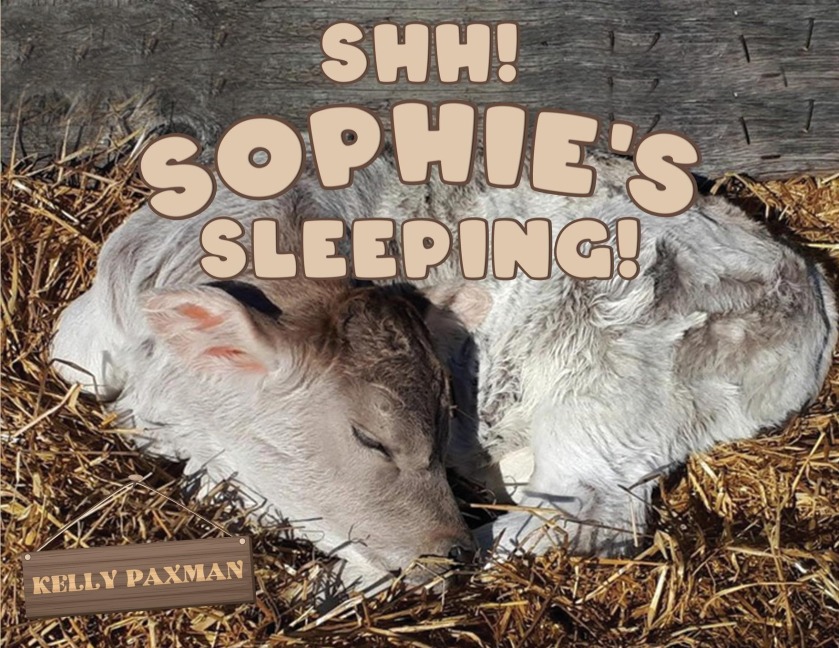 Shhh Sophies Sleeping!