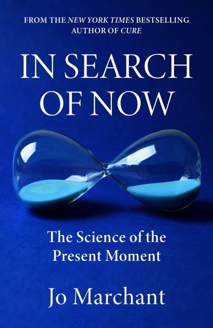 In Search of Now: The Science and Mystery of the Present Moment