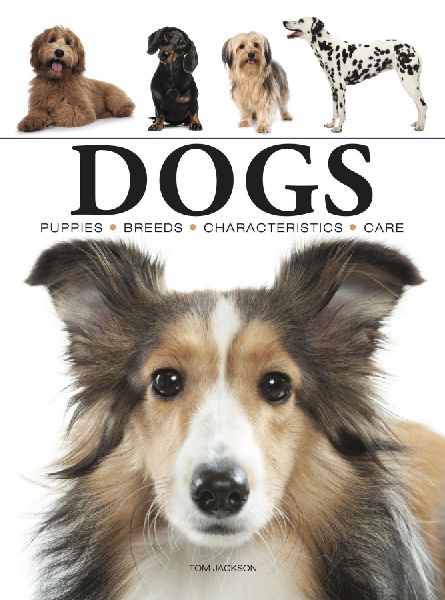 Dogs: A Celebration of Our Canine Friends