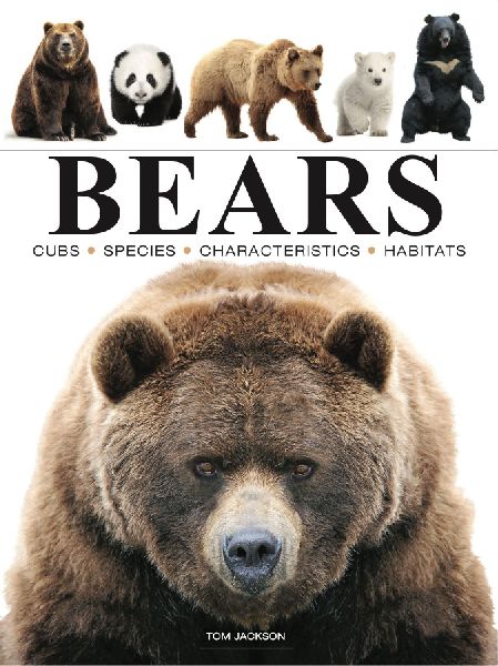 Bears