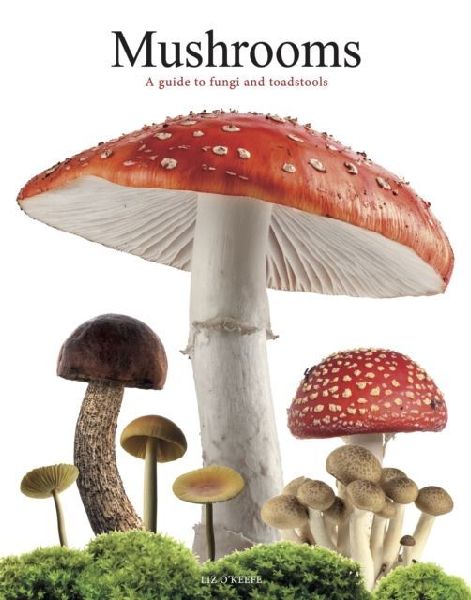 Mushrooms: A guide to fungi and toadstools