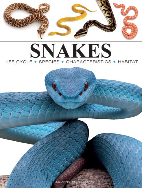 Snakes: From Vipers to Boa Constrictors