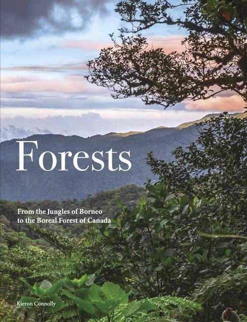Forests: From the Amazon Rainforest to the Siberian Taiga
