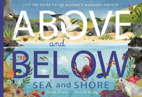 Above and Below: Sea and Shore: Lift the flaps to see natures wonders unfold