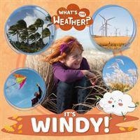 Its Windy!