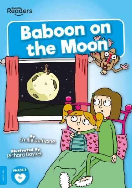 Baboon on the Moon