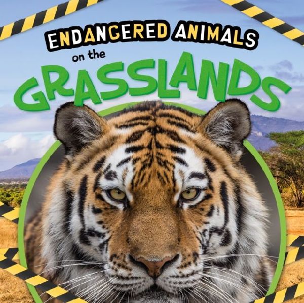 On the Grasslands