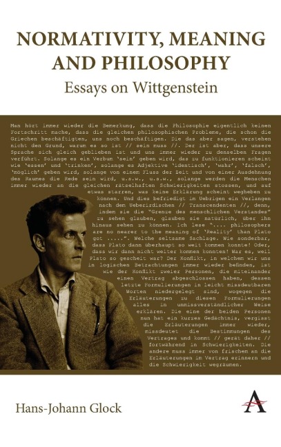 Normativity, Meaning and Philosophy: Essays on Wittgenstein