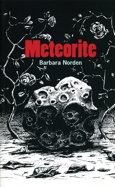 Meteorite