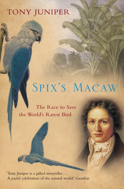Spixs Macaw: The Race to Save the Worlds Rarest Bird