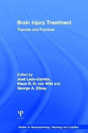 Brain Injury Treatment: Theories and Practices