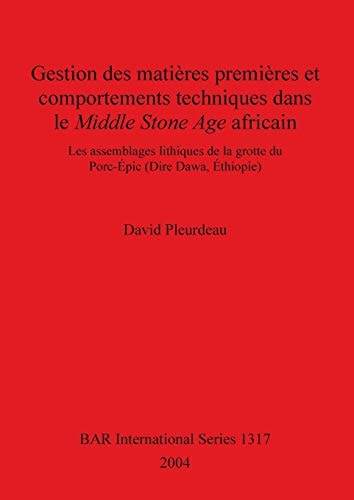 Gestion des matieres premieres et comportements technique dans le Middle Stone Age africain (BAR International Series)