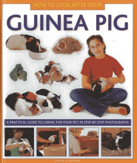 How to Look After Your Guinea Pig: A Practical Guide to Caring for Your Pet, in Step-By-Step Photographs