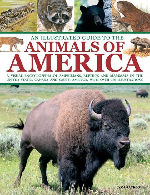 An Illustrated Guide to the Animals of America: A Visual Encyclopedia of Amphibians, Reptiles and Mammals in the United States, Canada and South America, with Over 350 Illustrations