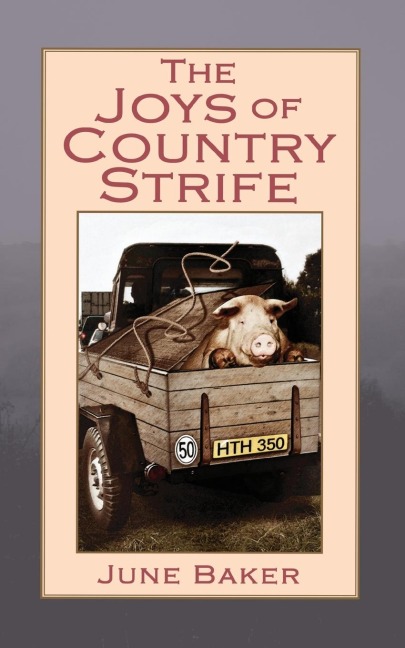The Joys of Country Strife