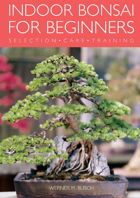 Indoor Bonsai for Beginners: Selection - Care - Training
