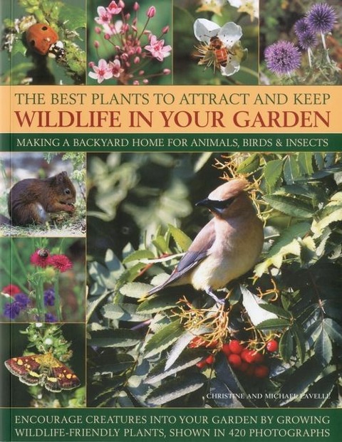 Best Plants to Attract and Keep Wildlife in the Garden