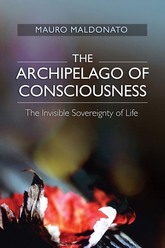 The Archipelago of Consciousness The Invisible Sovereignty of Life